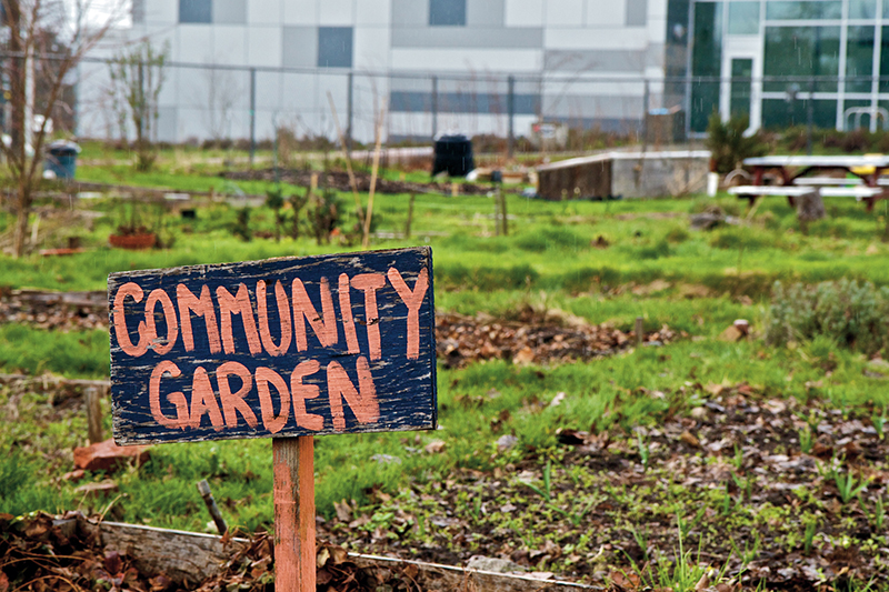 Community garden with a sign that says Community Garden
