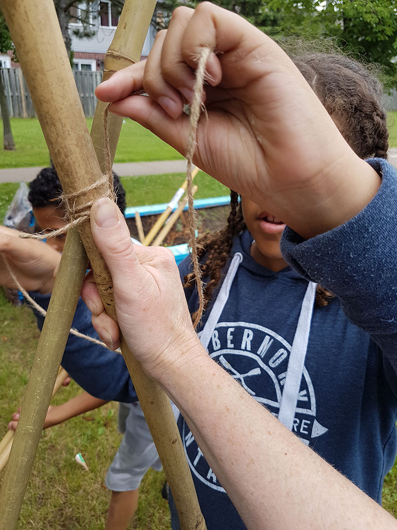 Hands tying knots on a trellis