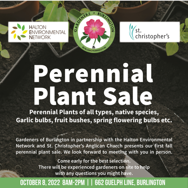 Perennial Plant Sale October 8 at 662 Guelph Line Burlington
